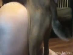 Her dog loves fucking her hole